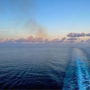 Meet your Posher, Josie